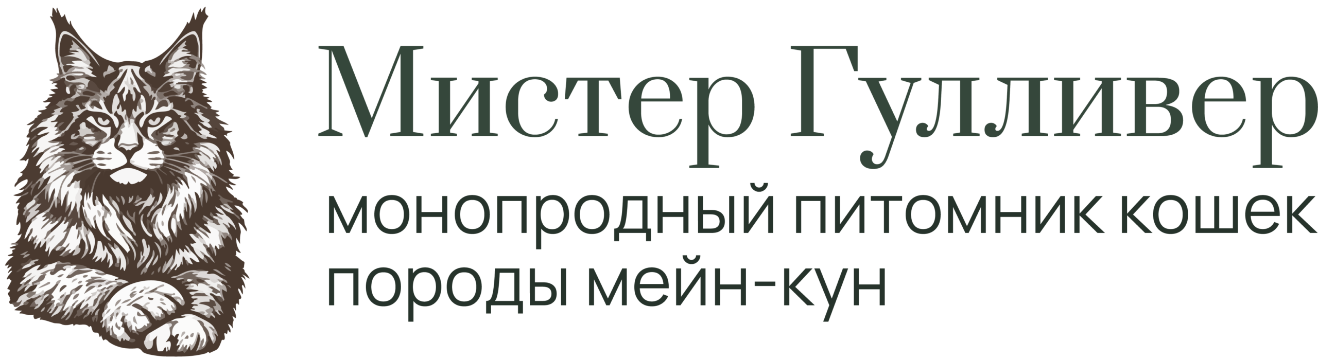 Мистер Гулливер — питомник кошек породы мейн-кун